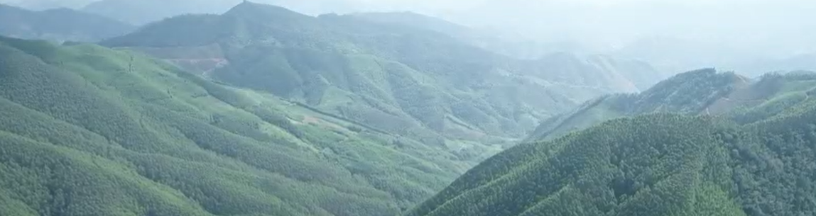 幻灯片